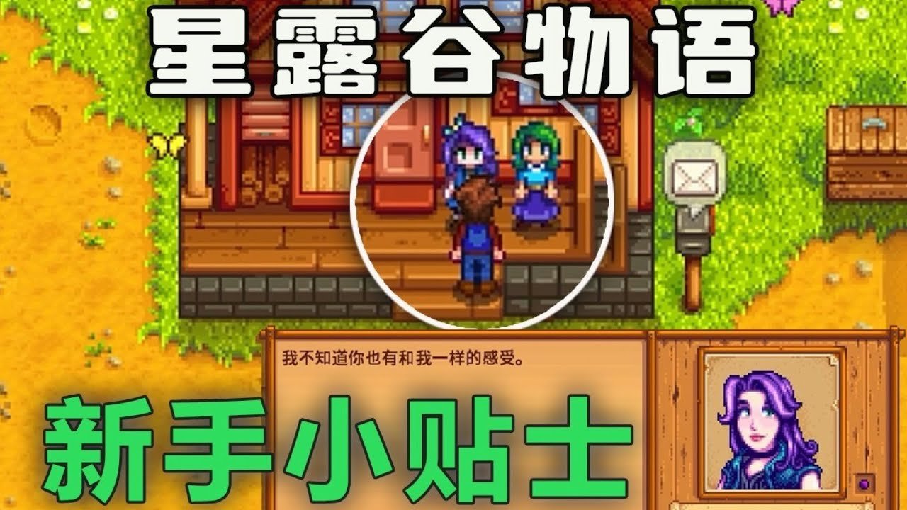 空洞骑士 豪华版 截图17