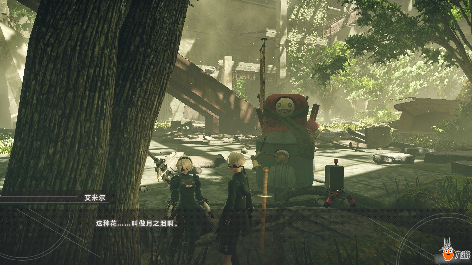 巫师3：狂猎 年度版 截图9