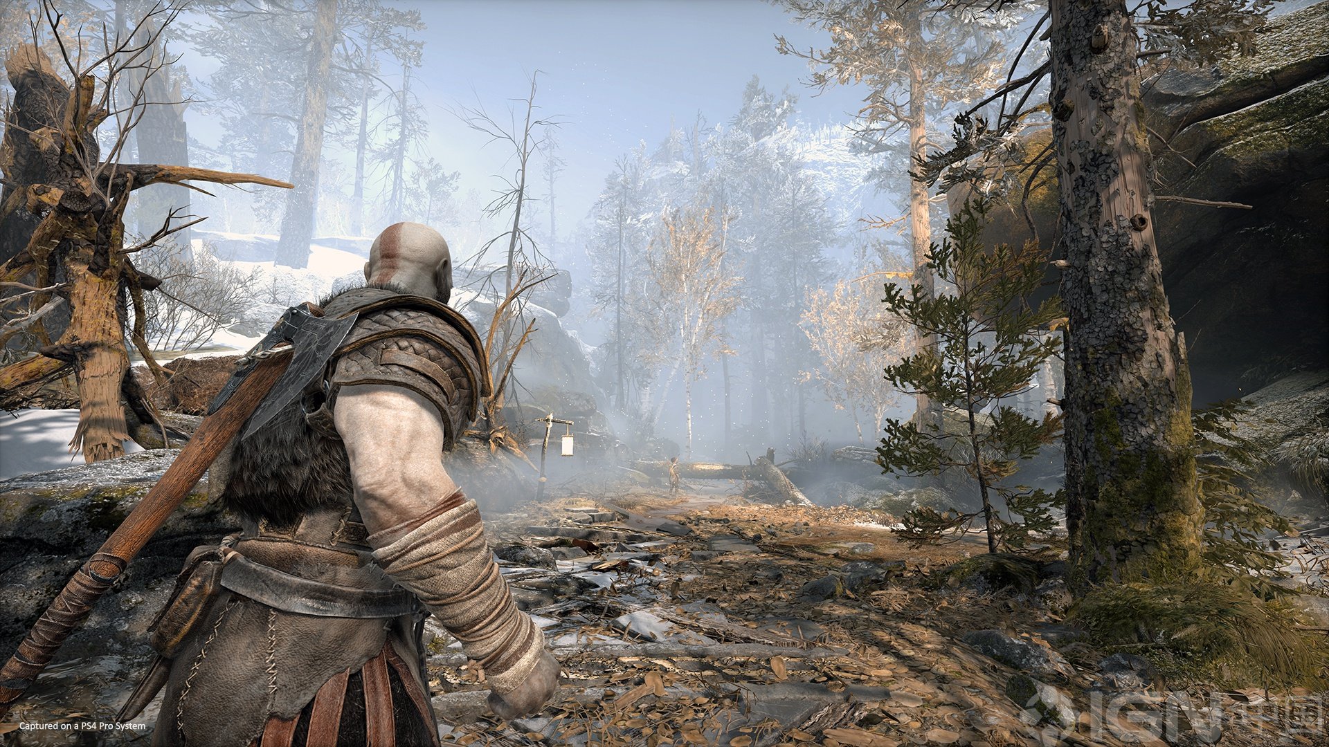 巫师3：狂猎 年度版 截图7